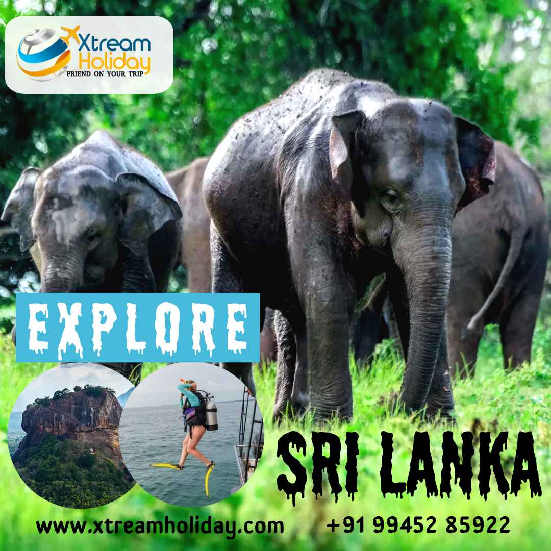 Sri Lanka Tour Package